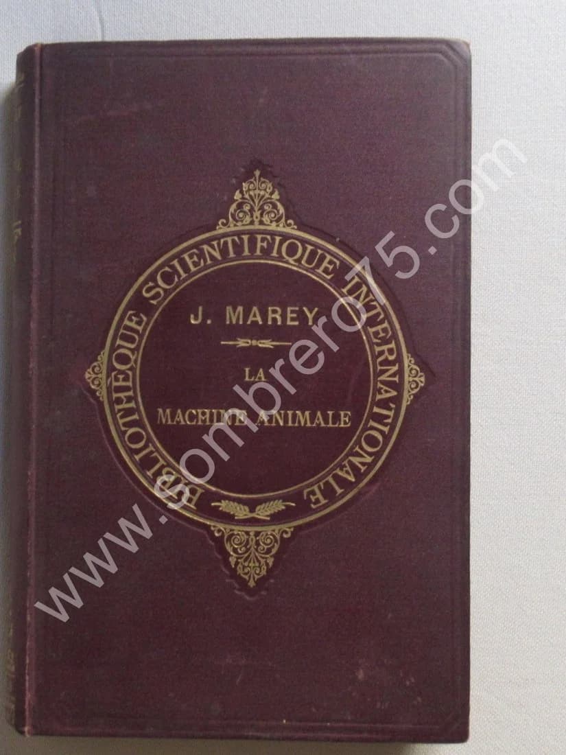 La Machine Animale Locomotion Terrestre et Aérienne par E. J. MAREY