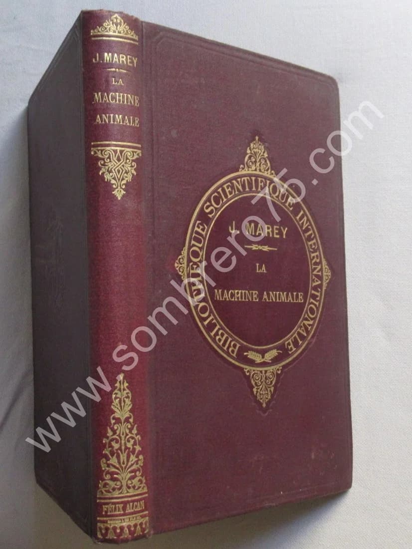 La Machine Animale Locomotion Terrestre et Aérienne par E. J. MAREY - Image 2