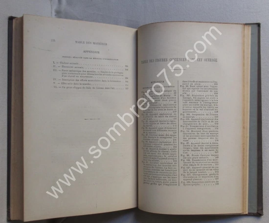 La Machine Animale Locomotion Terrestre et Aérienne par E. J. MAREY - Image 11