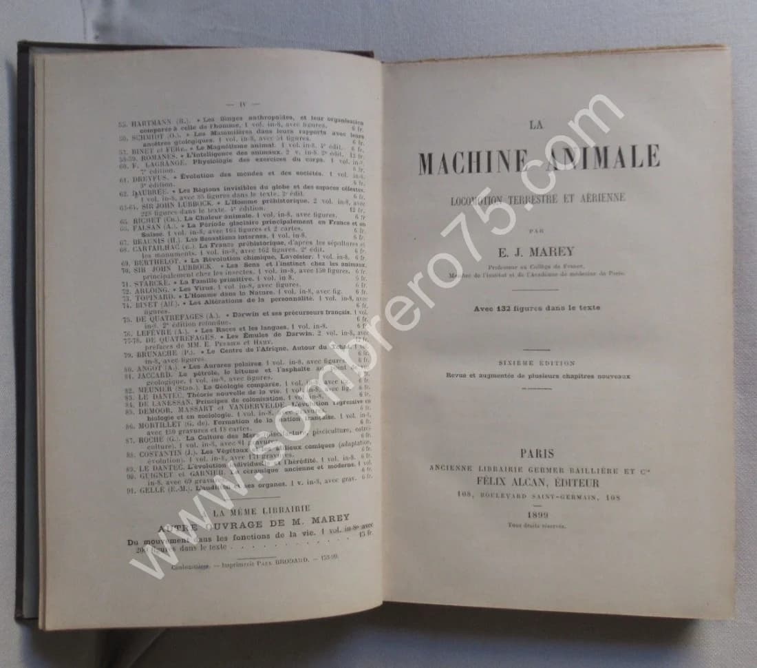 La Machine Animale Locomotion Terrestre et Aérienne par E. J. MAREY - Image 3