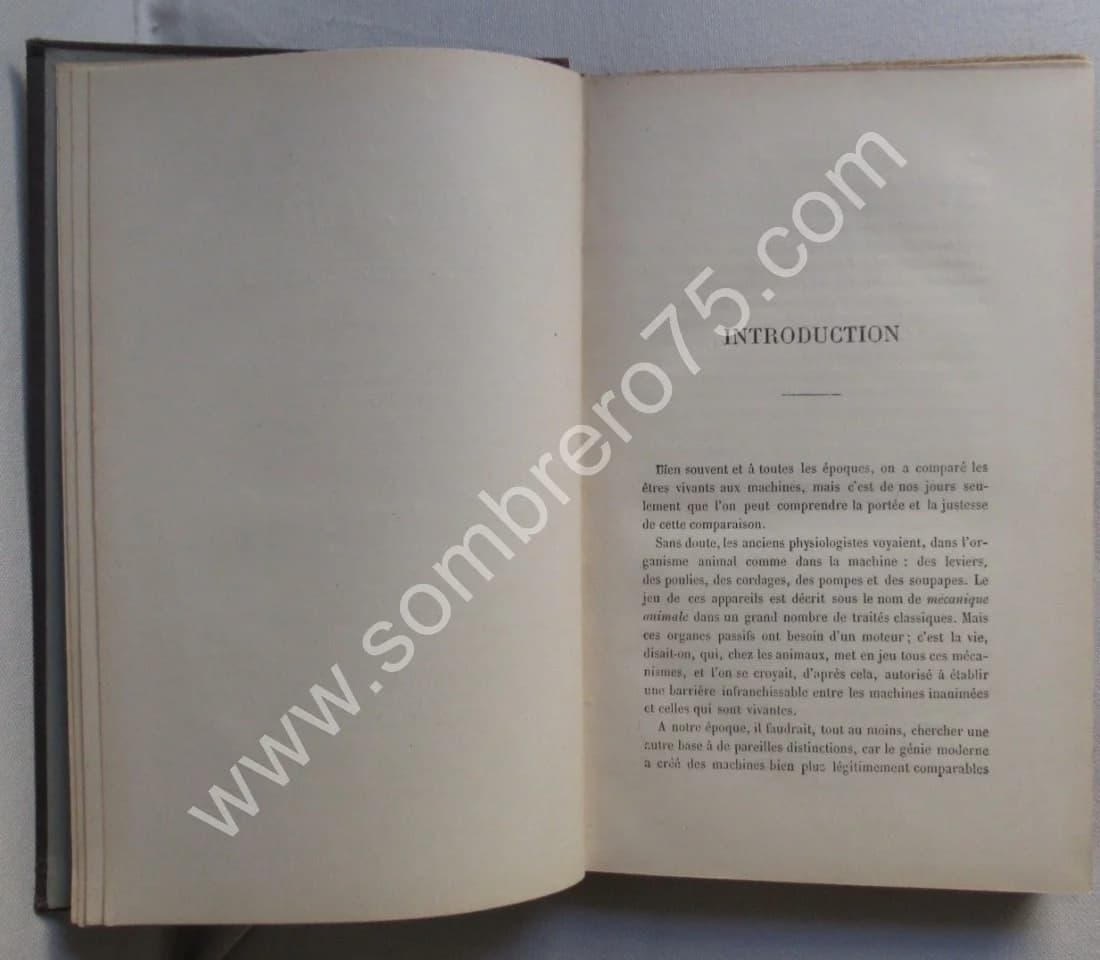 La Machine Animale Locomotion Terrestre et Aérienne par E. J. MAREY - Image 4
