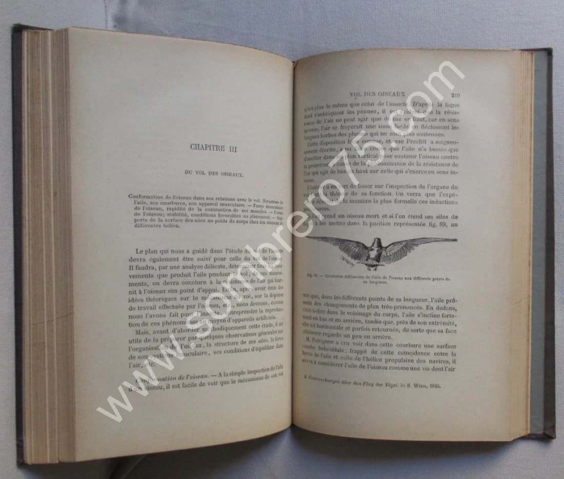 La Machine Animale Locomotion Terrestre et Aérienne par E. J. MAREY - Image 6