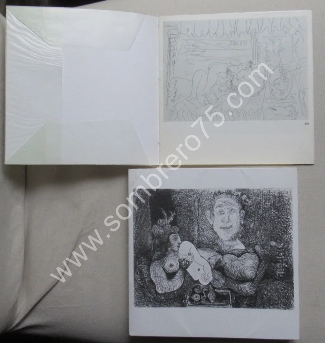 Picasso 156 Gravures Récentes. plus Livret. 1973 - Image 2