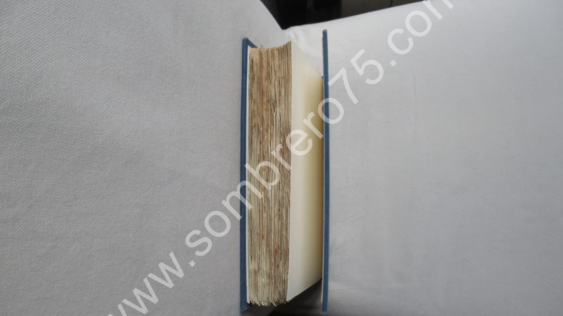 Gleyre - Etude - Catalogue Raisonné. Charles CLEMENT 1886 - Image 10