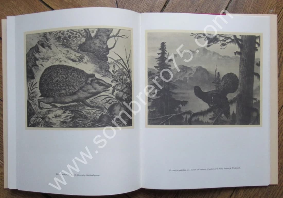 Imagerie Populaire Allemande. Wolfgang BRÜCKNER. 1969 - Image 9