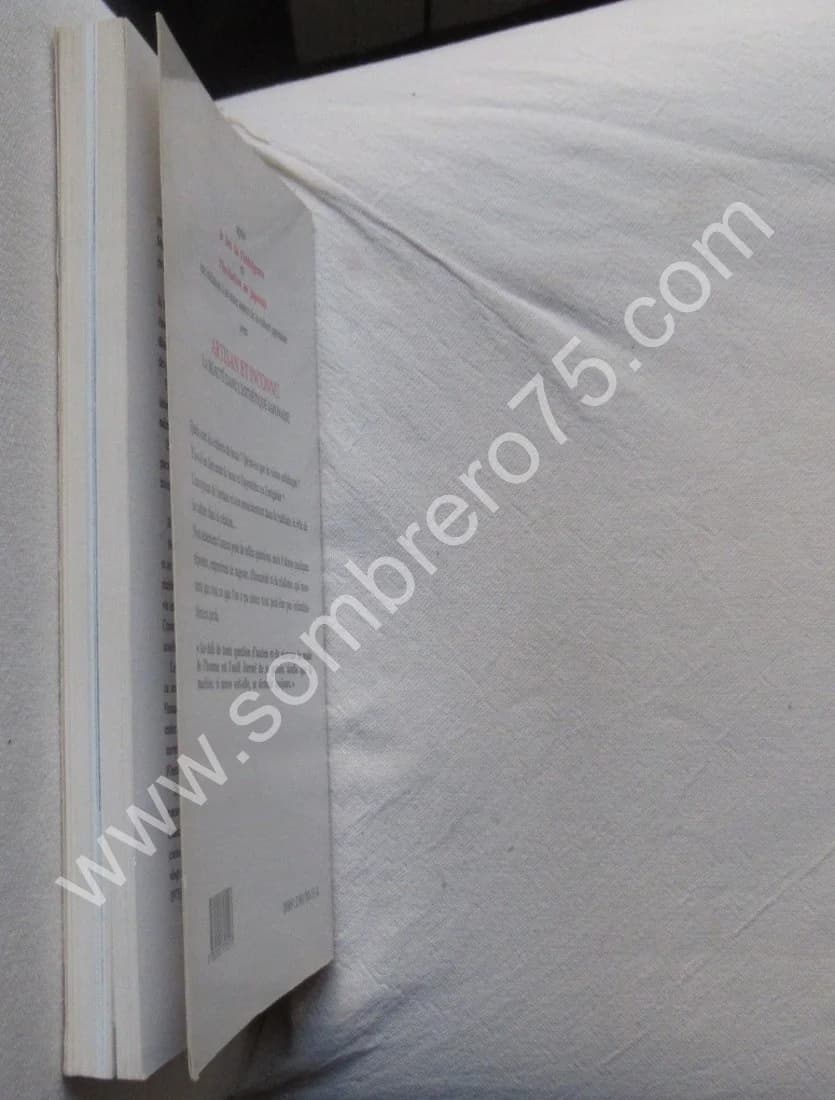 Artisan et Inconnu. La beauté dans l'esthétique japonaise - Image 9