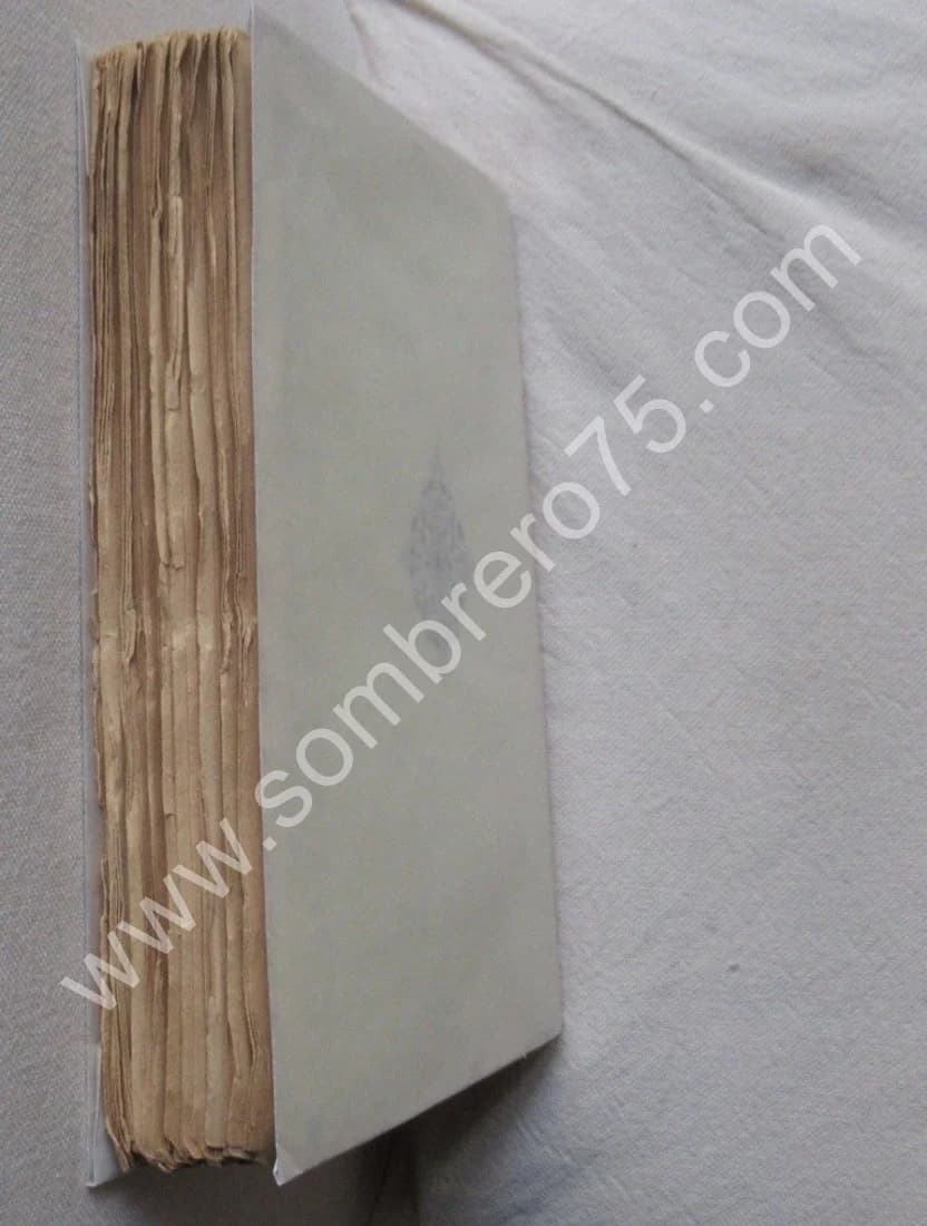 Entretiens de J J HENNER. Emile DURAND GREVILLE (1878-1888) - Image 9