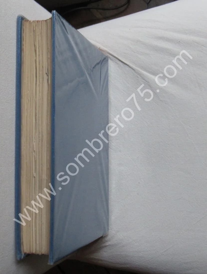 Battle in 1918.. 1929. Lithos - Image 11