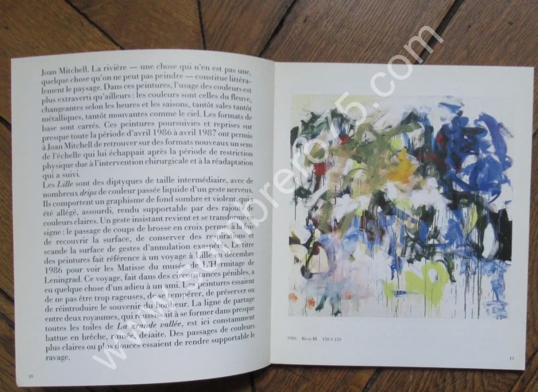 Joan Mitchell Peintures 1986 & 1987. River Lille Chord - Image 7