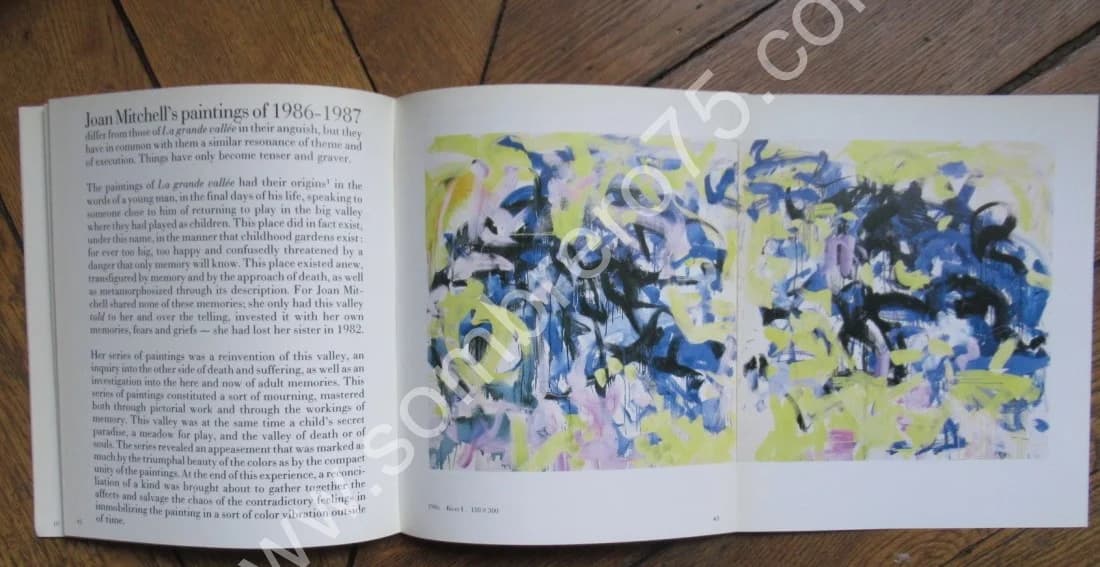 Joan Mitchell Peintures 1986 & 1987. River Lille Chord - Image 8
