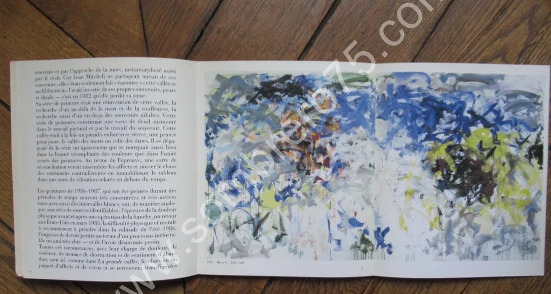 Joan Mitchell Peintures 1986 & 1987. River Lille Chord - Image 9