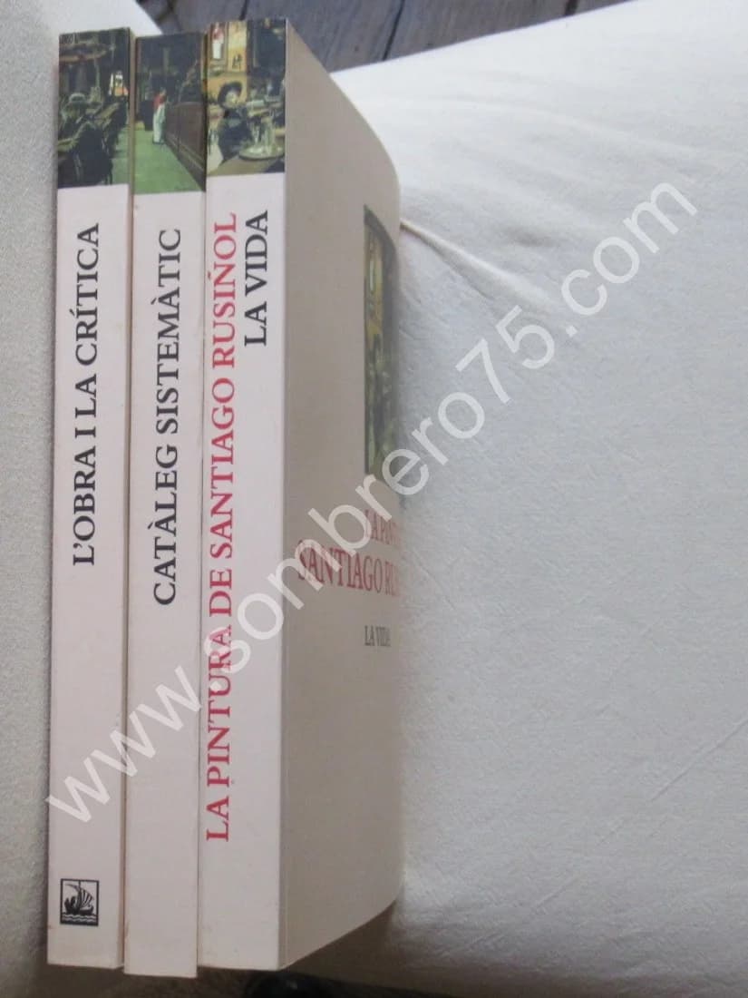 La Pintura de Santiago Rusinol. Coffret 3 T. Mercedes Palau-Ribes O'Callaghan - Image 2