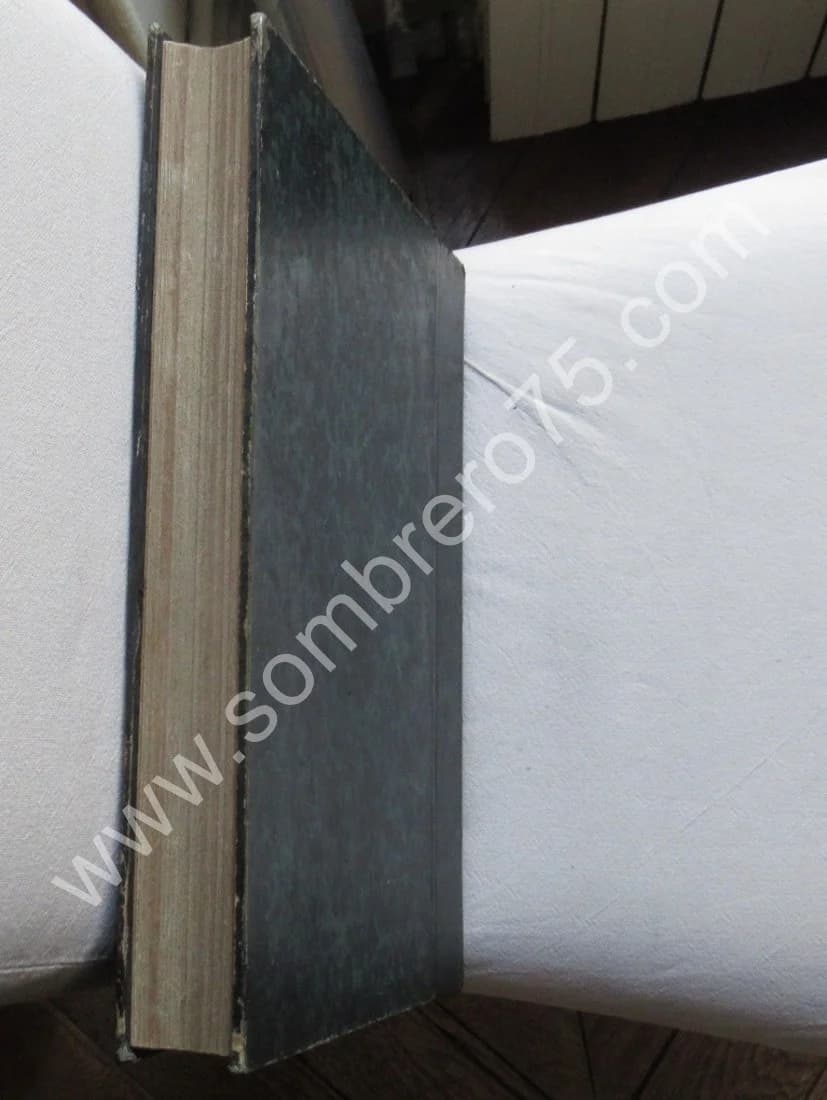 Portefeuille Archéologique de la Champagne.. 1861 - Image 13