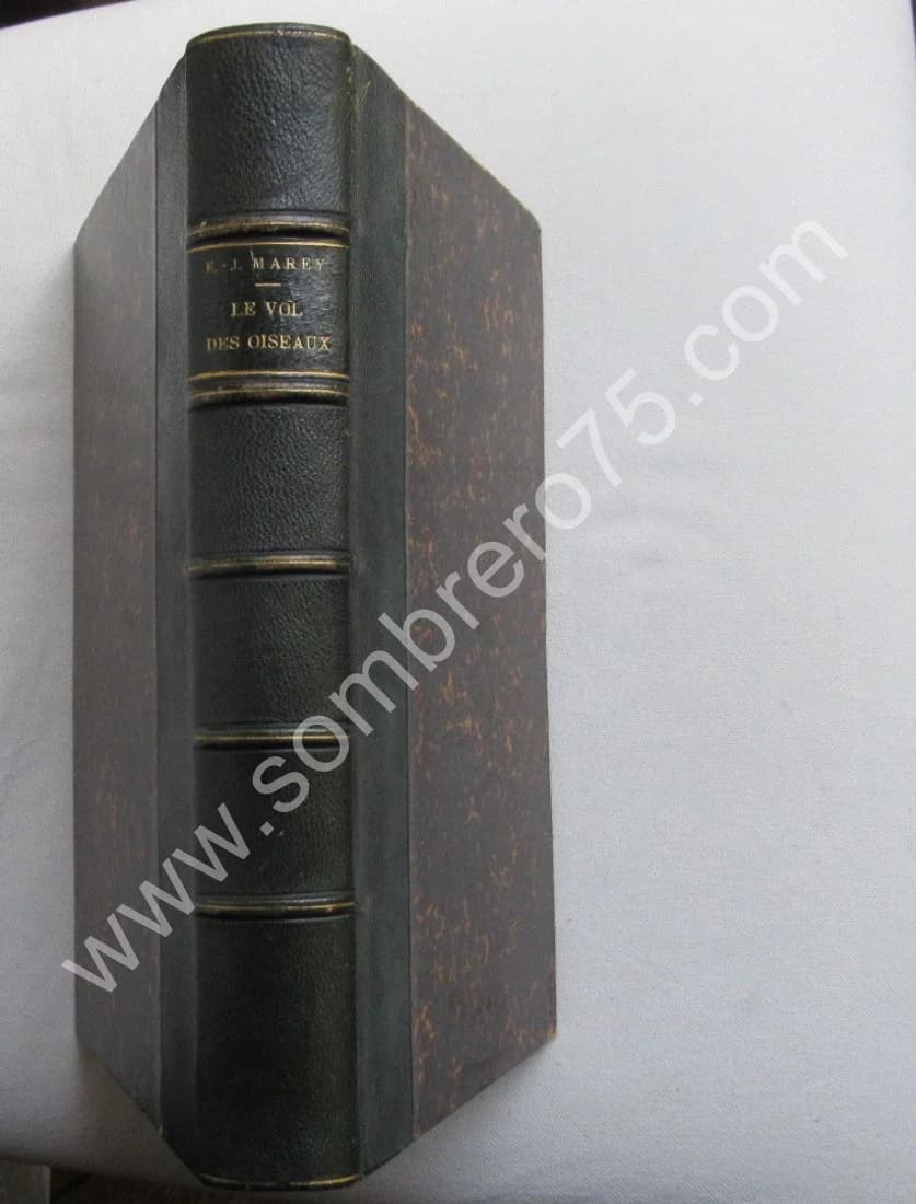 Le Vol des Oiseaux. E. J. MAREY. 1890 E.O