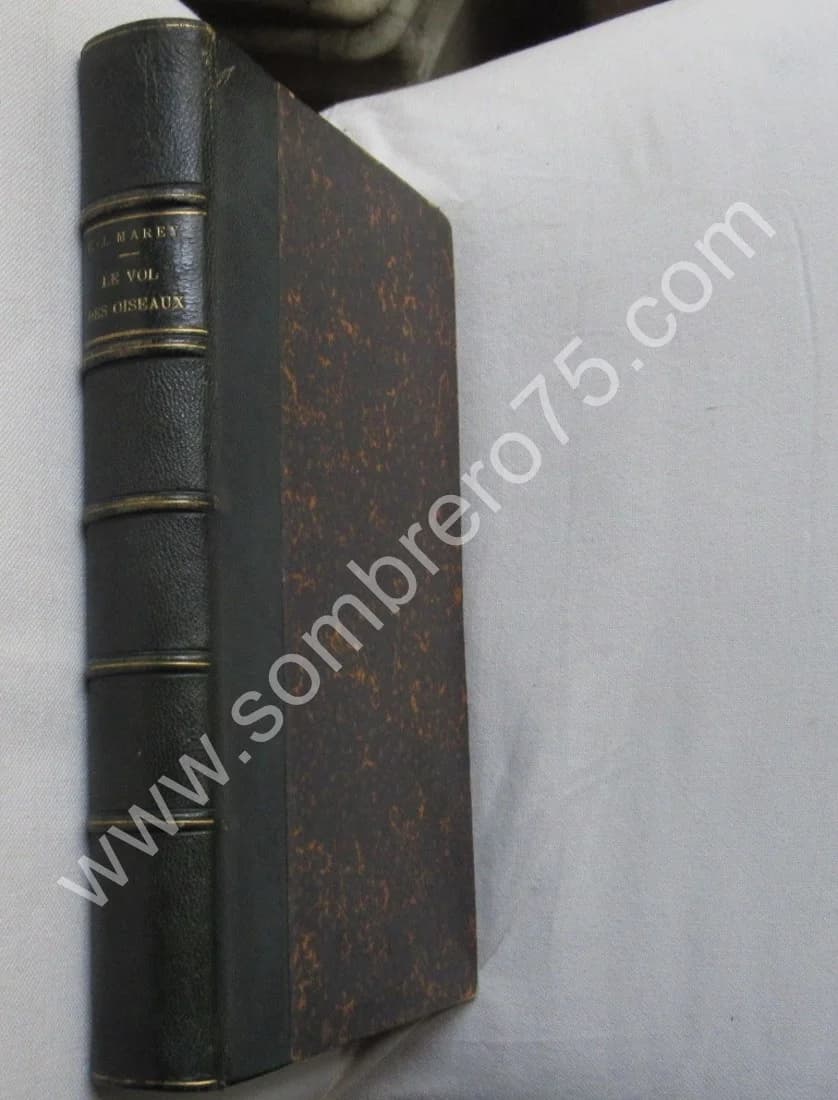 Le Vol des Oiseaux. E. J. MAREY. 1890 E.O - Image 2