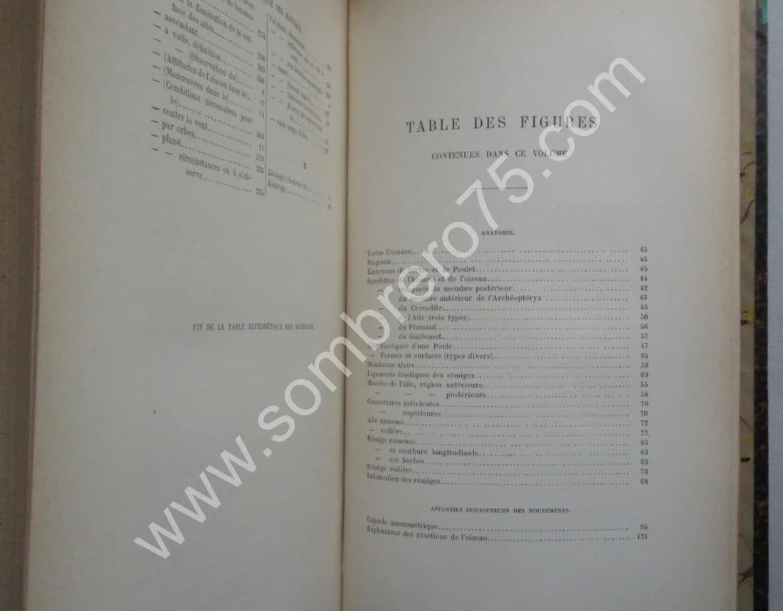Le Vol des Oiseaux. E. J. MAREY. 1890 E.O - Image 11