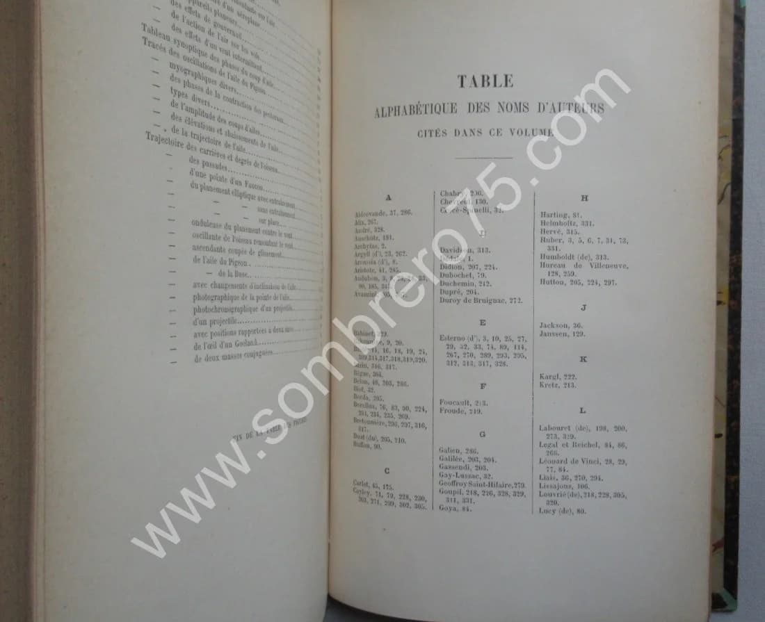 Le Vol des Oiseaux. E. J. MAREY. 1890 E.O - Image 12
