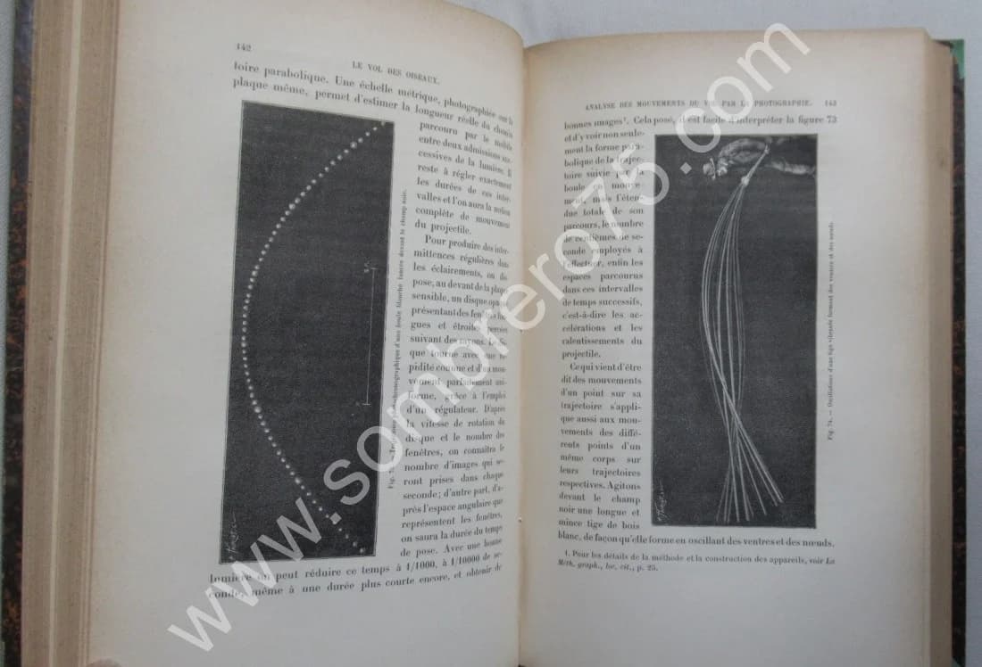 Le Vol des Oiseaux. E. J. MAREY. 1890 E.O - Image 6