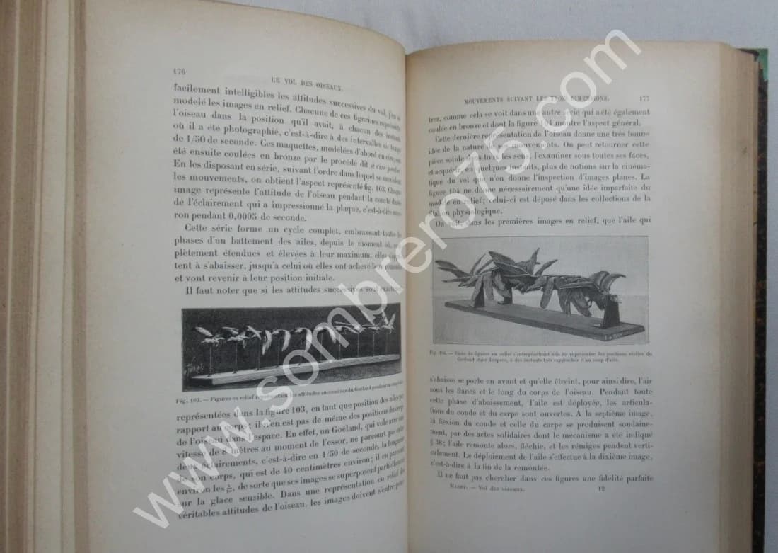 Le Vol des Oiseaux. E. J. MAREY. 1890 E.O - Image 7