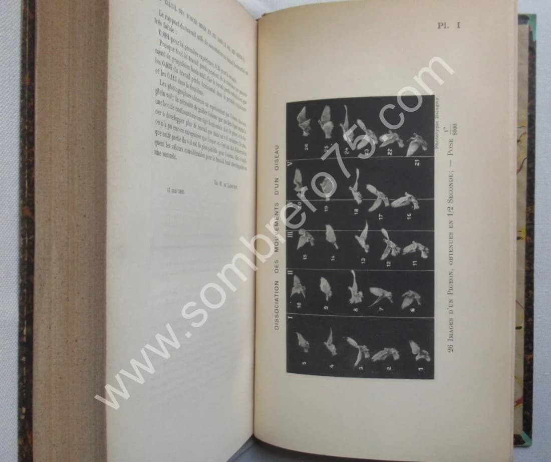 Le Vol des Oiseaux. E. J. MAREY. 1890 E.O - Image 8