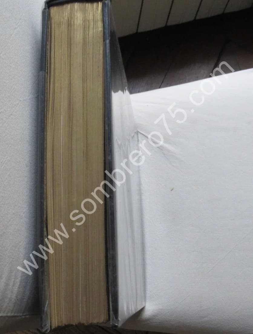 Old Italian Lace by - Volume I et II. 1913 - Image 11