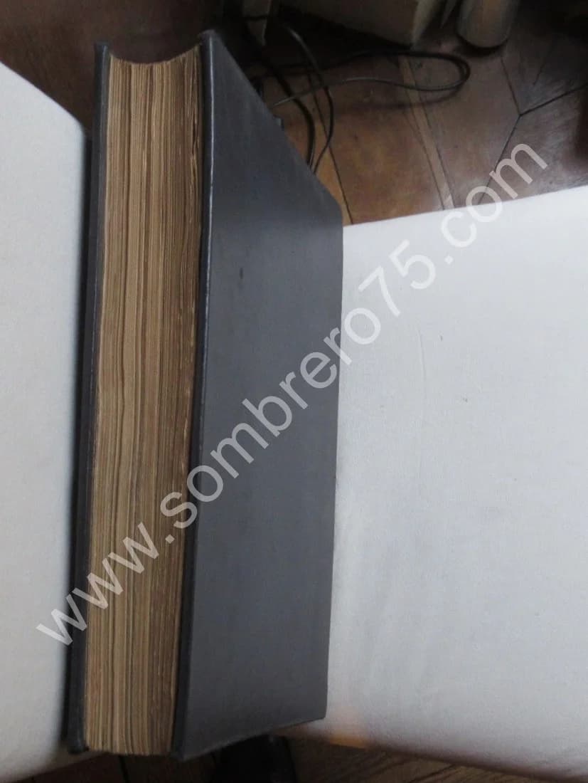 Antiche Trine Italiane. Trine a Fuselli.. 1911 - Image 13