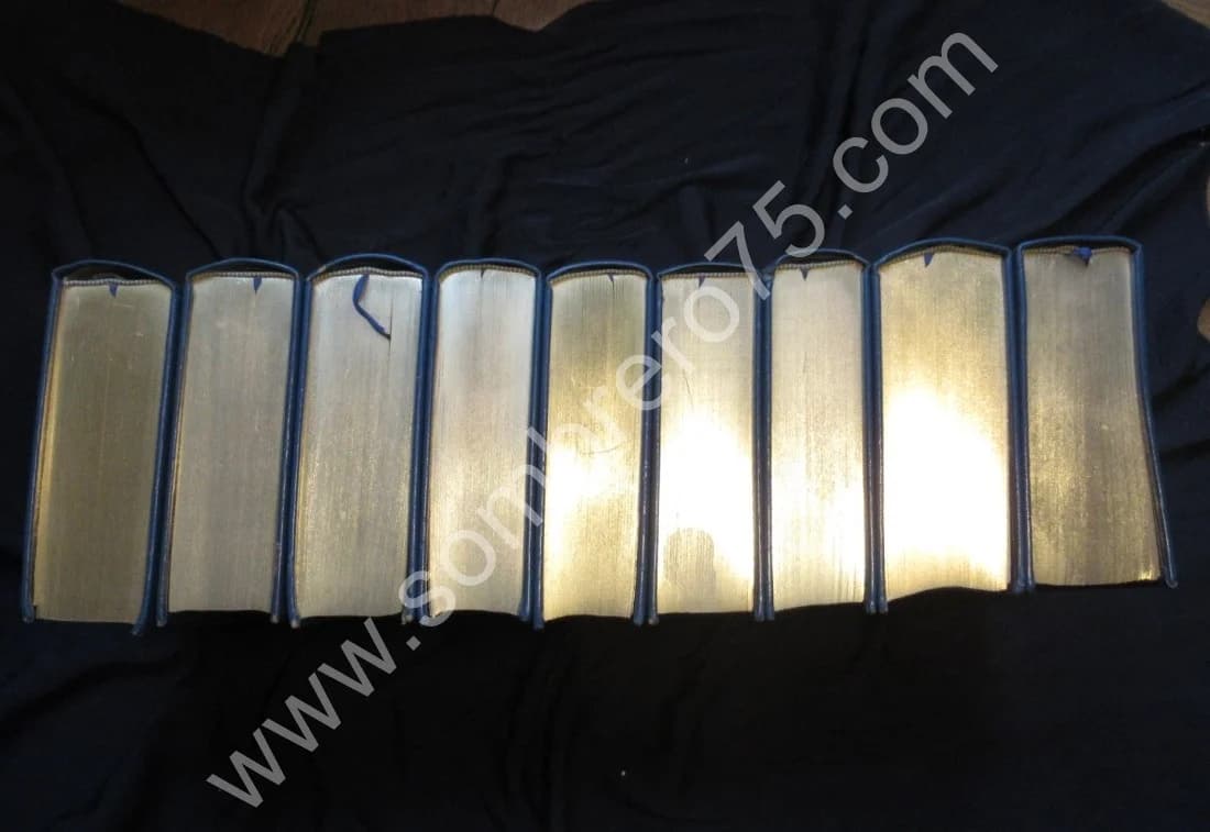 Duc de Saint Simon - Mémoires Saint Simon - 9 Tomes. Tallandier - Image 3