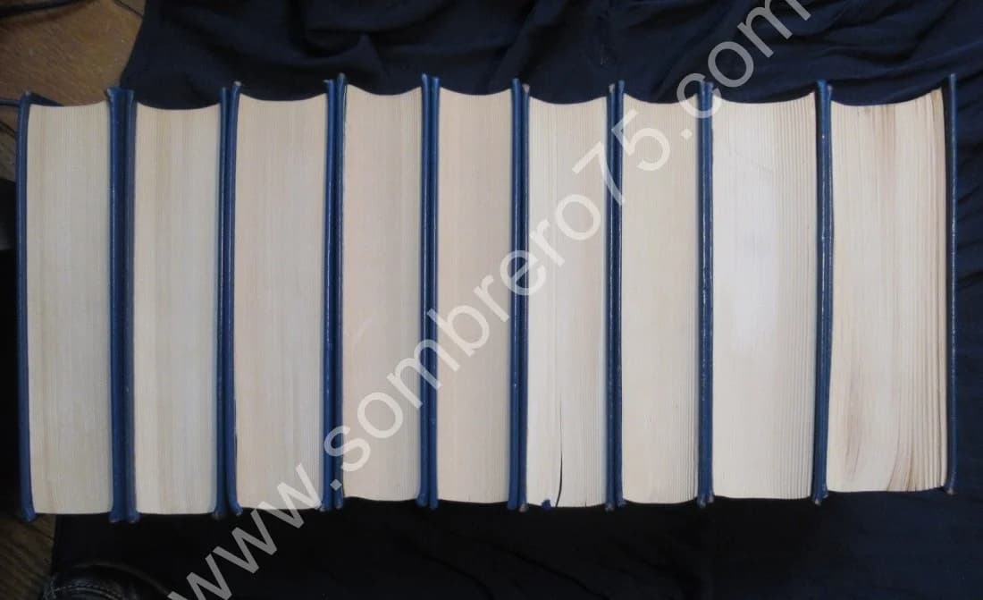 Duc de Saint Simon - Mémoires Saint Simon - 9 Tomes. Tallandier - Image 5