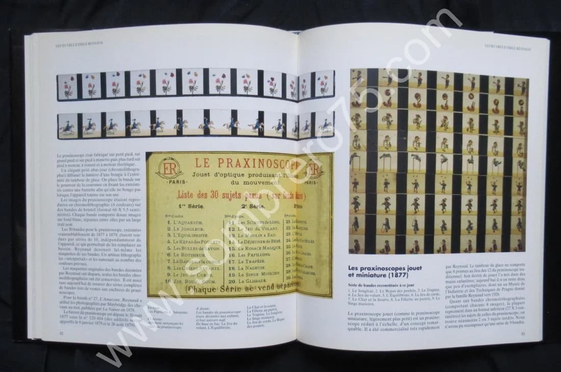 Emile Reynaud et l'Image s'anima - Image 8