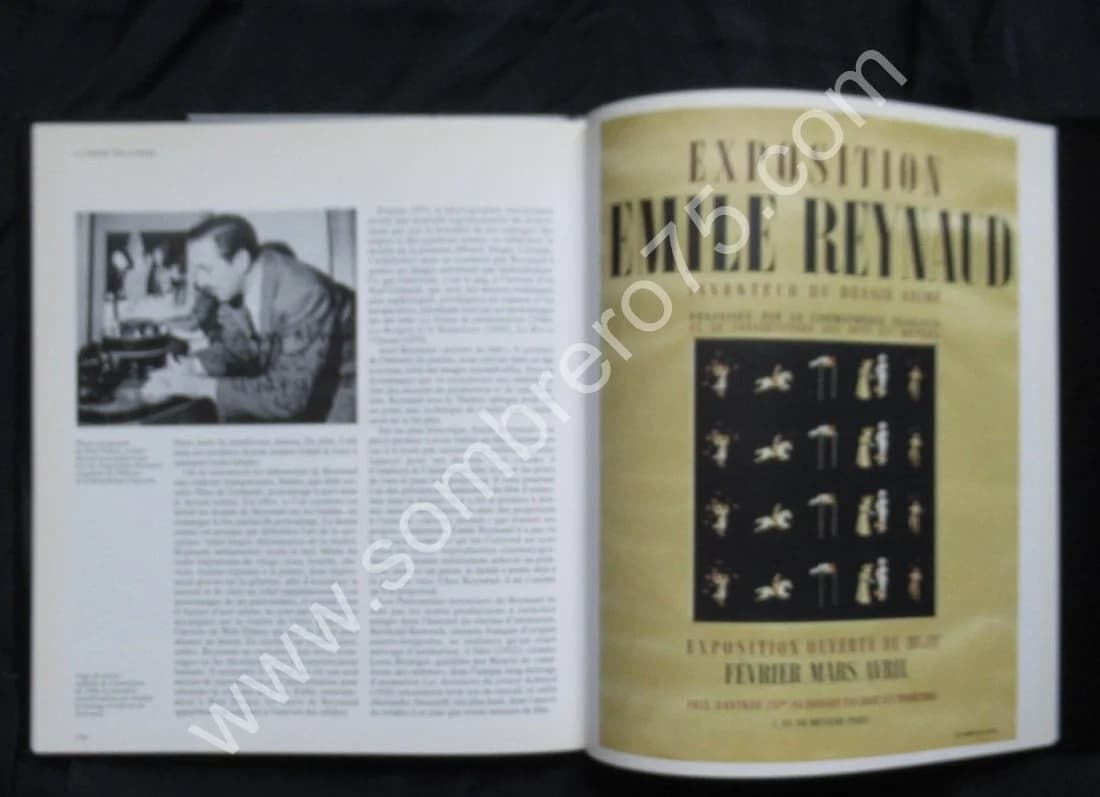 Emile Reynaud et l'Image s'anima - Image 9