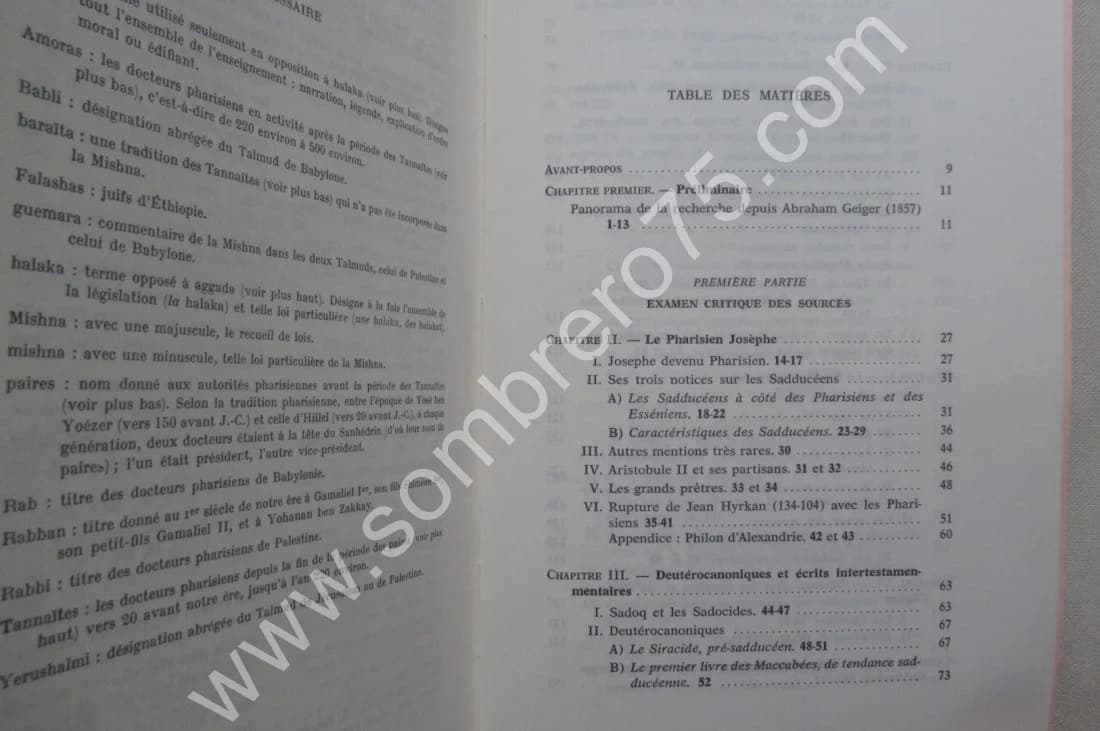 Les Sadducéens. Jean LE MOYNE - Image 4