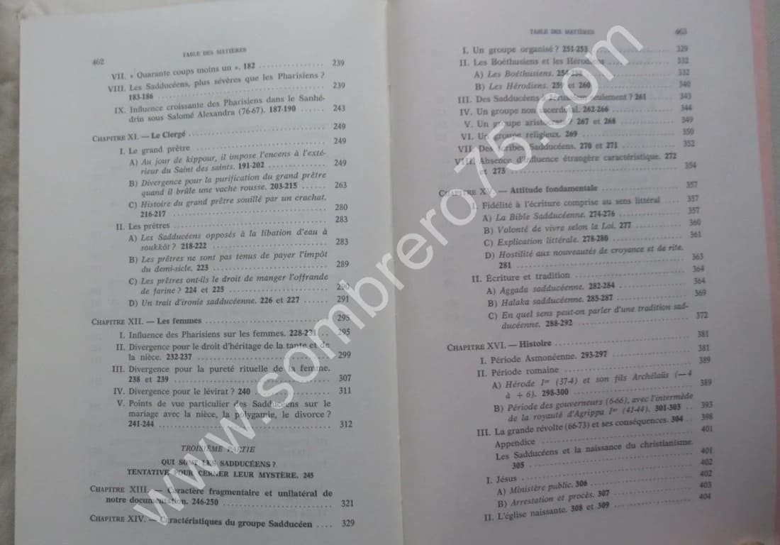 Les Sadducéens. Jean LE MOYNE - Image 6