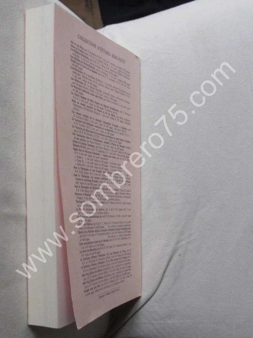 Les Sadducéens. Jean LE MOYNE - Image 8