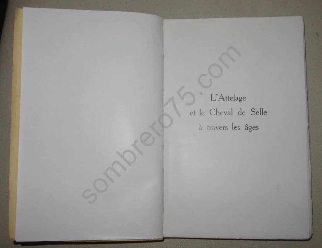 L'Attelage. Le Cheval de Selle à travers les Âges. Contribution à l'Histoire de l'Esclavage - Image 3