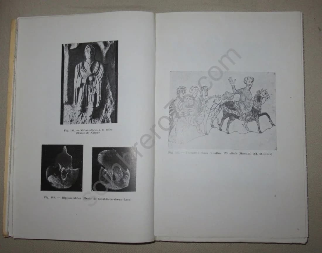 L'Attelage. Le Cheval de Selle à travers les Âges. Contribution à l'Histoire de l'Esclavage - Image 6