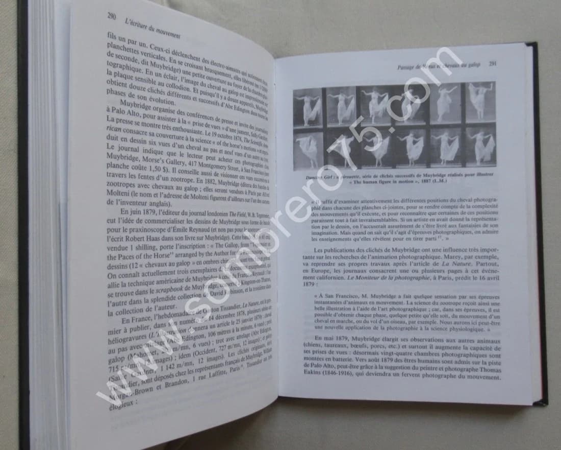 Le Grand Art de la Lumière et de l'Ombre. Archéologie du Cinéma - Image 4