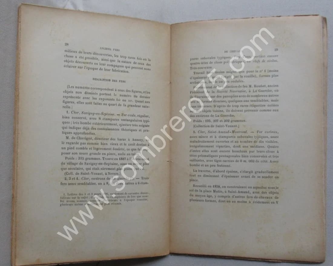 Anciens Fers de Chevaux à double traverse. M J DE SAINT VENANT - Image 7