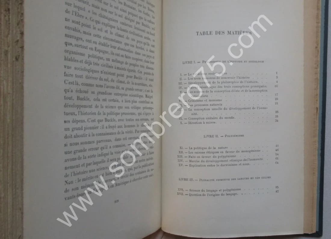 La Lutte des Races. GUMPLOWICZ. 1893 - Image 5