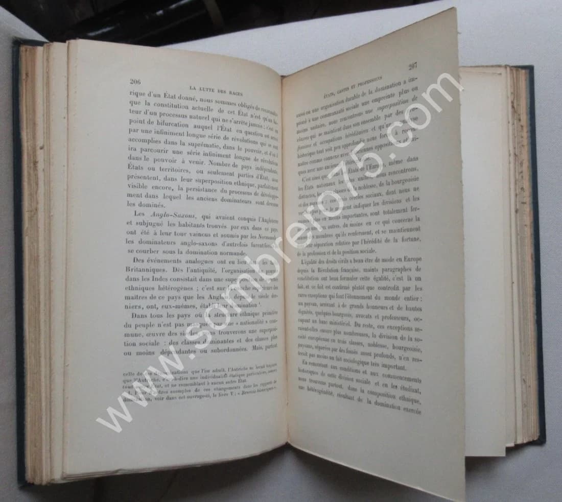 La Lutte des Races. GUMPLOWICZ. 1893 - Image 7