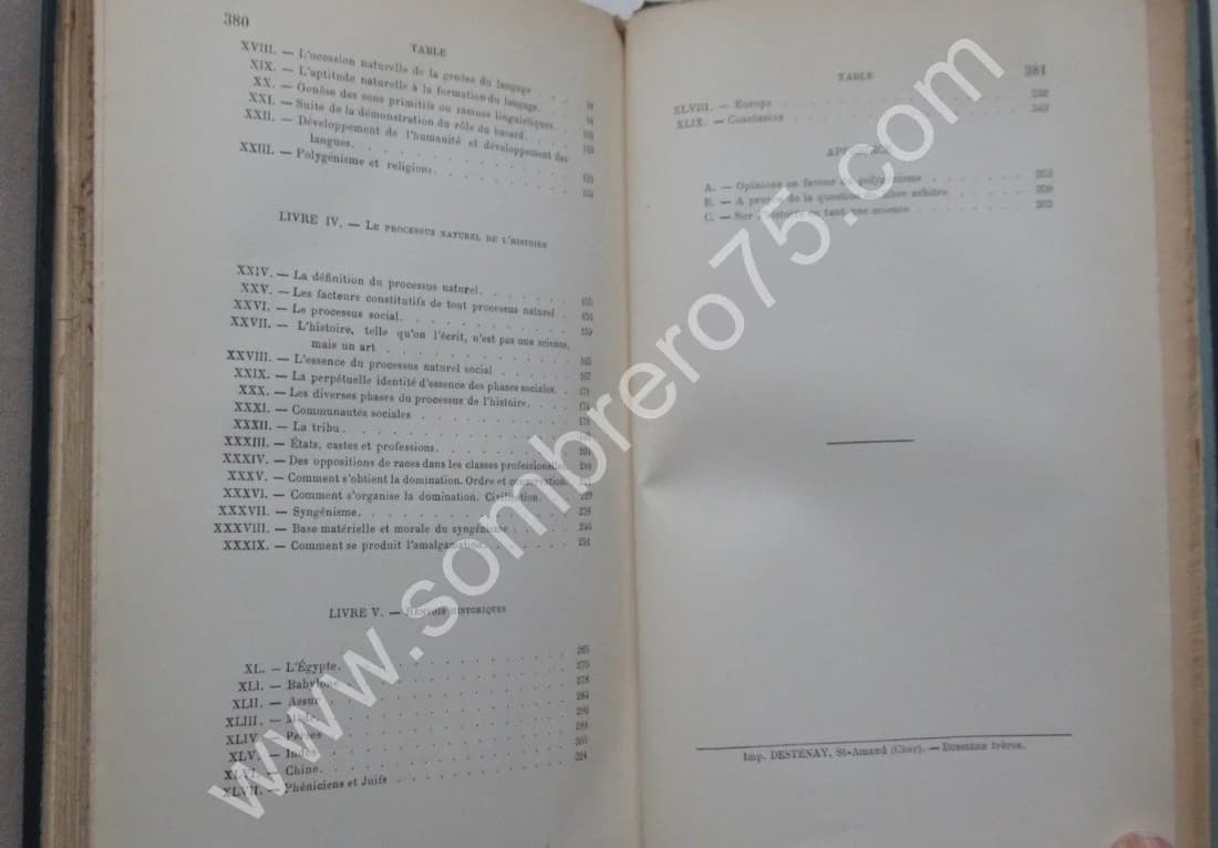 La Lutte des Races. GUMPLOWICZ. 1893 - Image 9