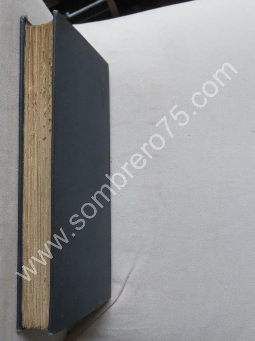 La Lutte des Races. GUMPLOWICZ. 1893 - Image 10