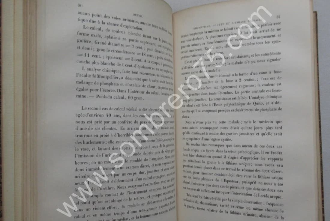 La Capitale de l'Equateur au pont de vue Médico-Chirurgical. et D DOMEC 1886 Envoi L DAUDET - Image 4