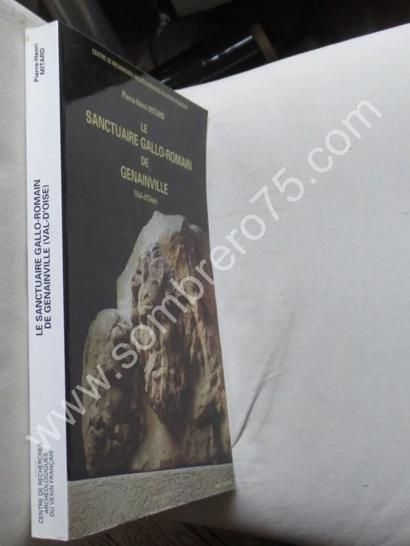 Le Sanctuaire Gallo Romain de Genainville. Pierre Henri MITARD - Image 2