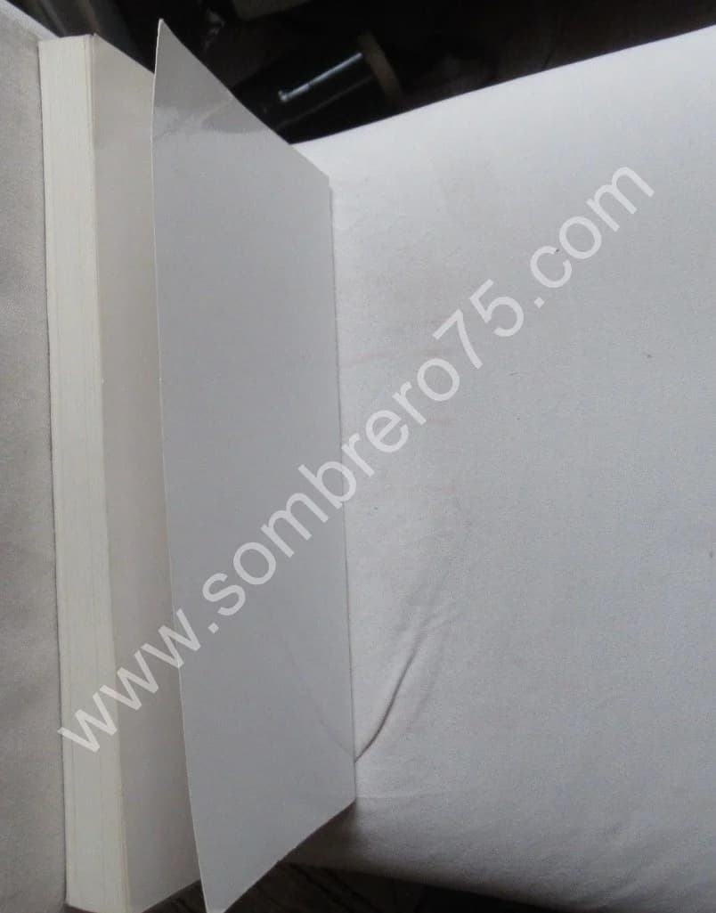 Le Sanctuaire Gallo Romain de Genainville. Pierre Henri MITARD - Image 12