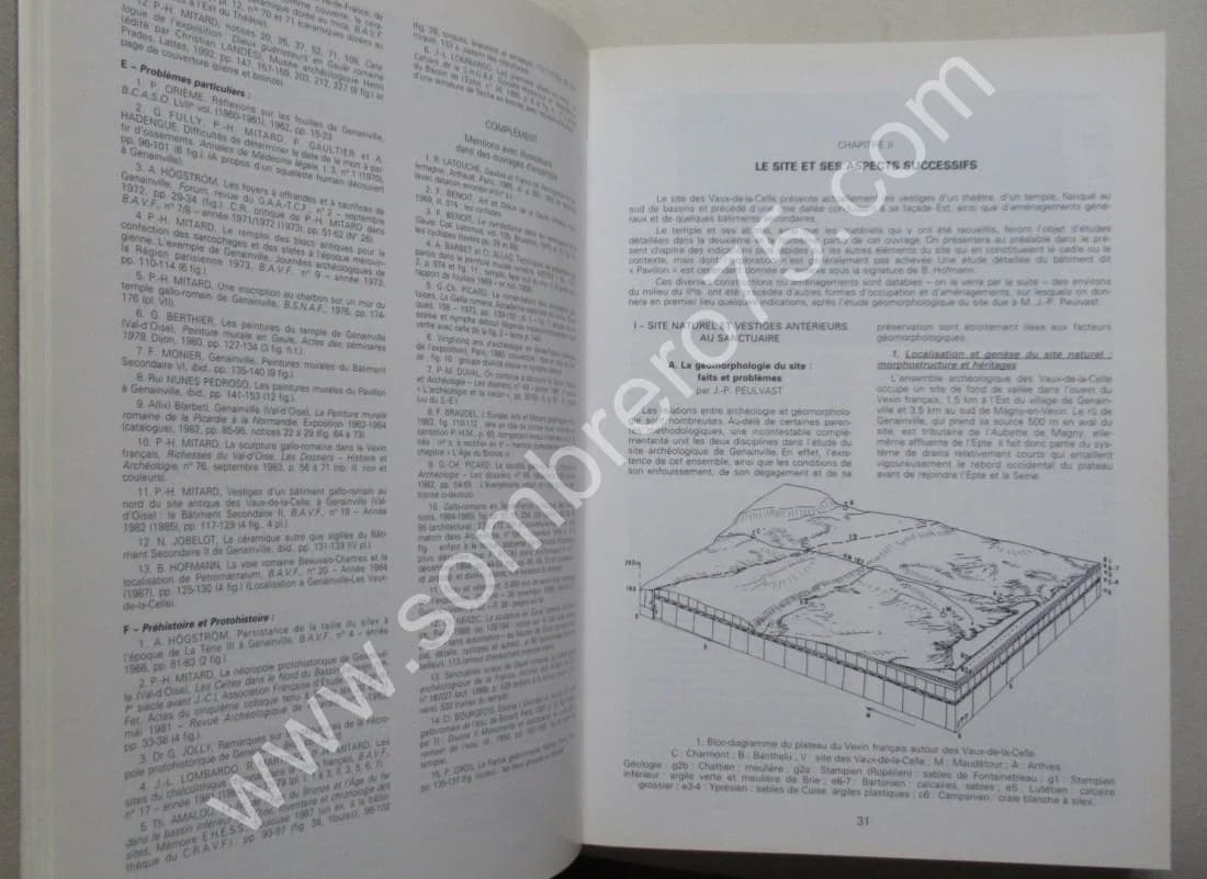 Le Sanctuaire Gallo Romain de Genainville. Pierre Henri MITARD - Image 5