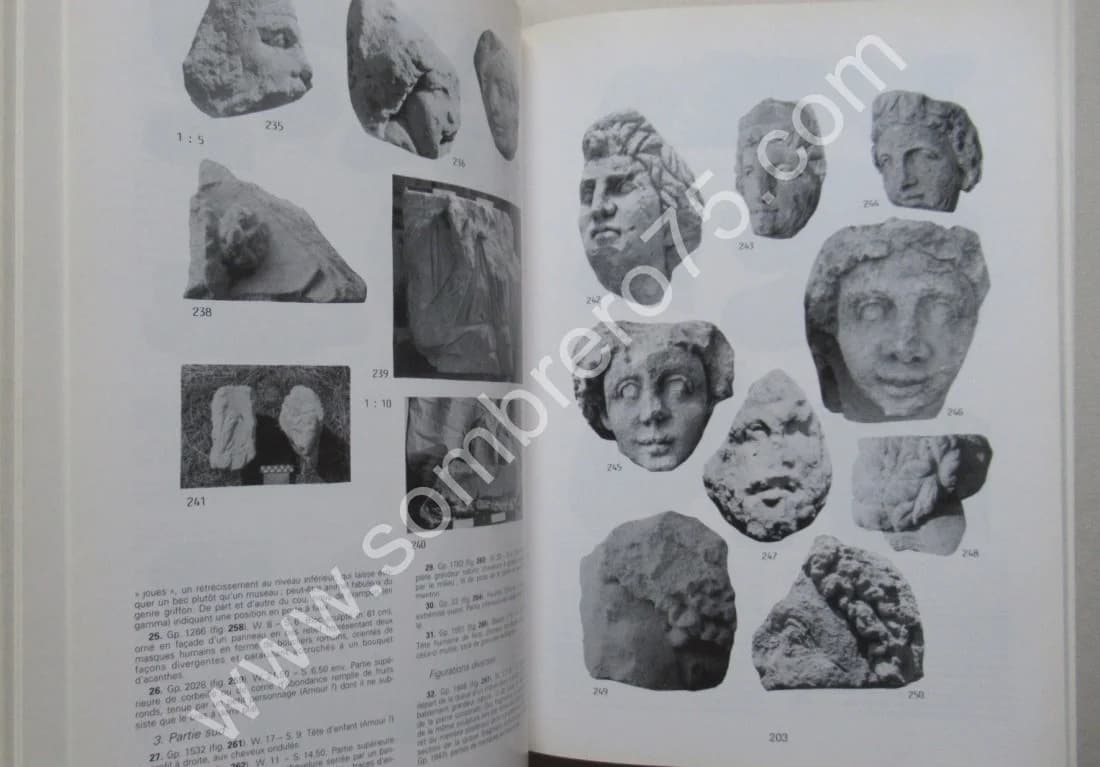 Le Sanctuaire Gallo Romain de Genainville. Pierre Henri MITARD - Image 6