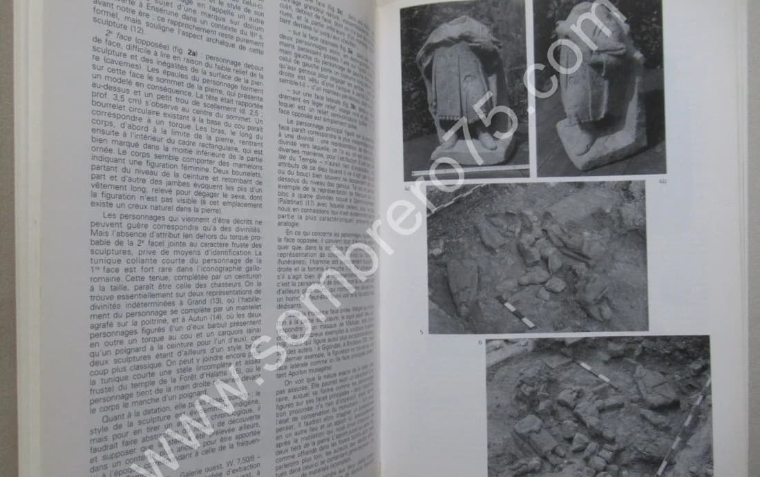 Le Sanctuaire Gallo Romain de Genainville. Pierre Henri MITARD - Image 8