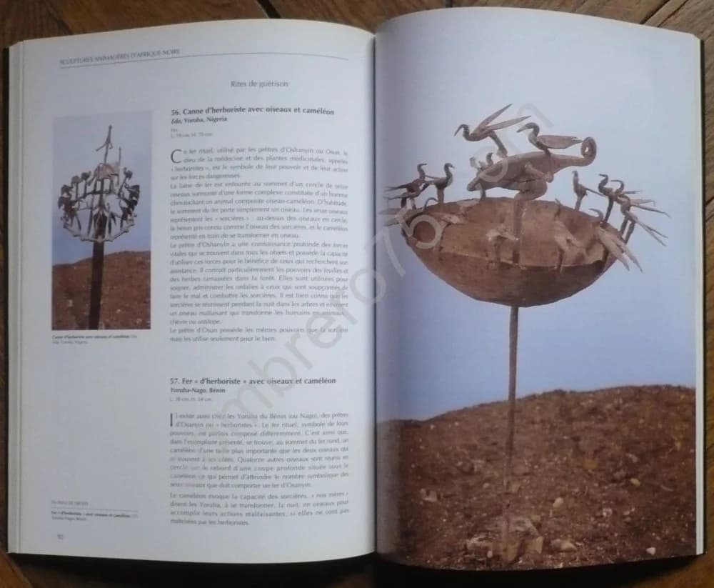 Sculptures Animalières d'Afrique Noire - Image 4