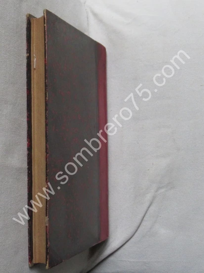 Premier Problème Grégorien. Nature et Fixation du Rythme Liturgique Paroissial - Image 9