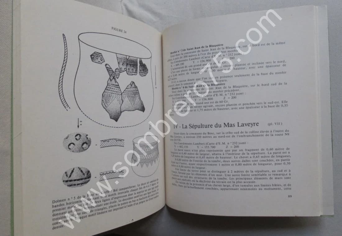 Ensemble Megalithique de Saint Pierre de la Fage. G. B. ARNAL. T 2 - Image 4